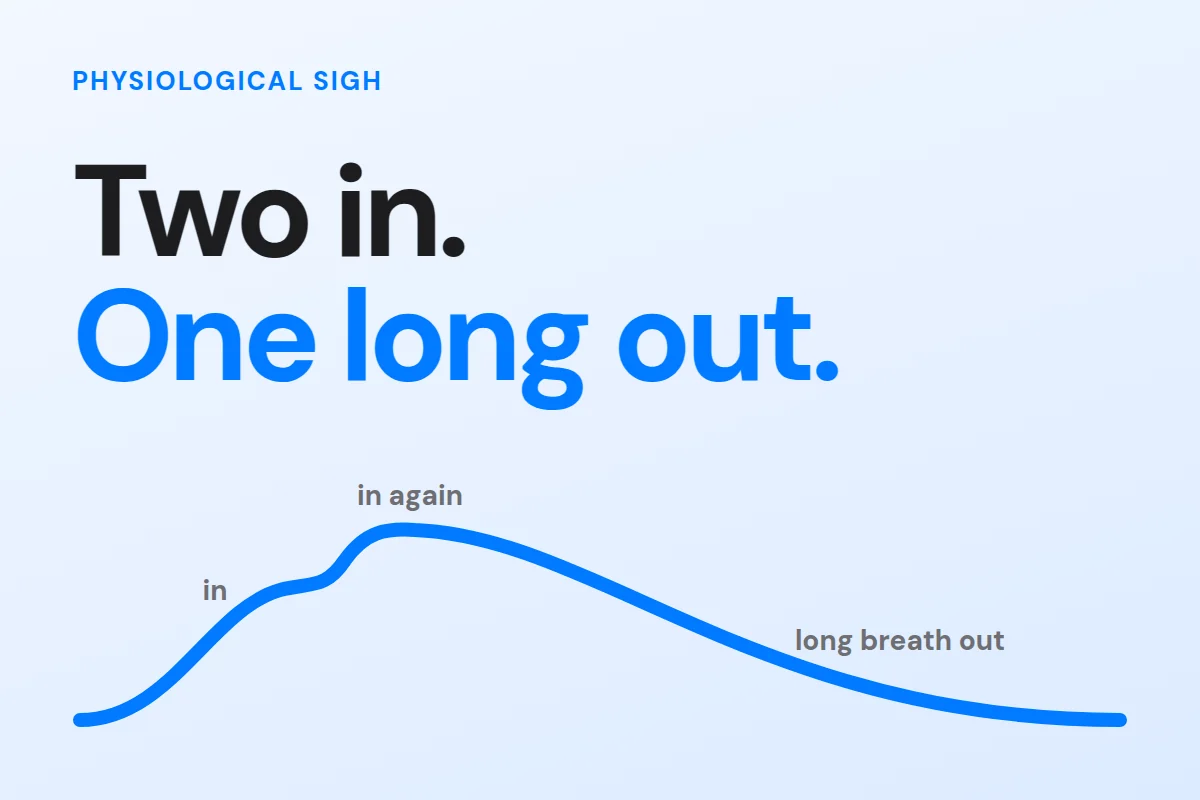 A breathing curve with two inhales and one long exhale