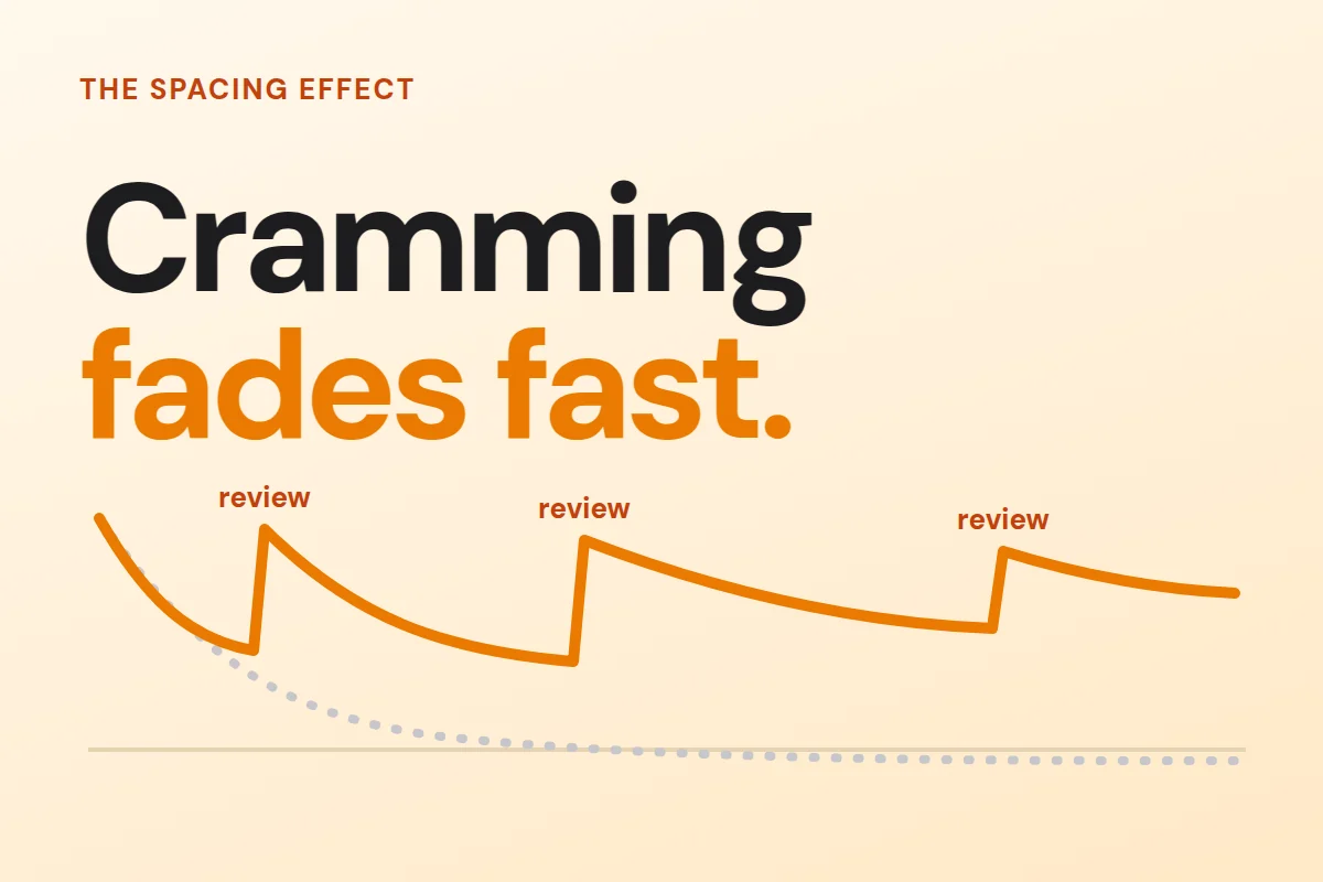 A forgetting curve that rises at each spaced review